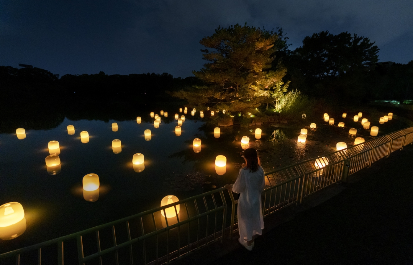 【アート】夜の長居植物園を光のアート空間に変える「チームラボ ボタニカルガーデン 大阪」が2022年7月29日よりオープン画像