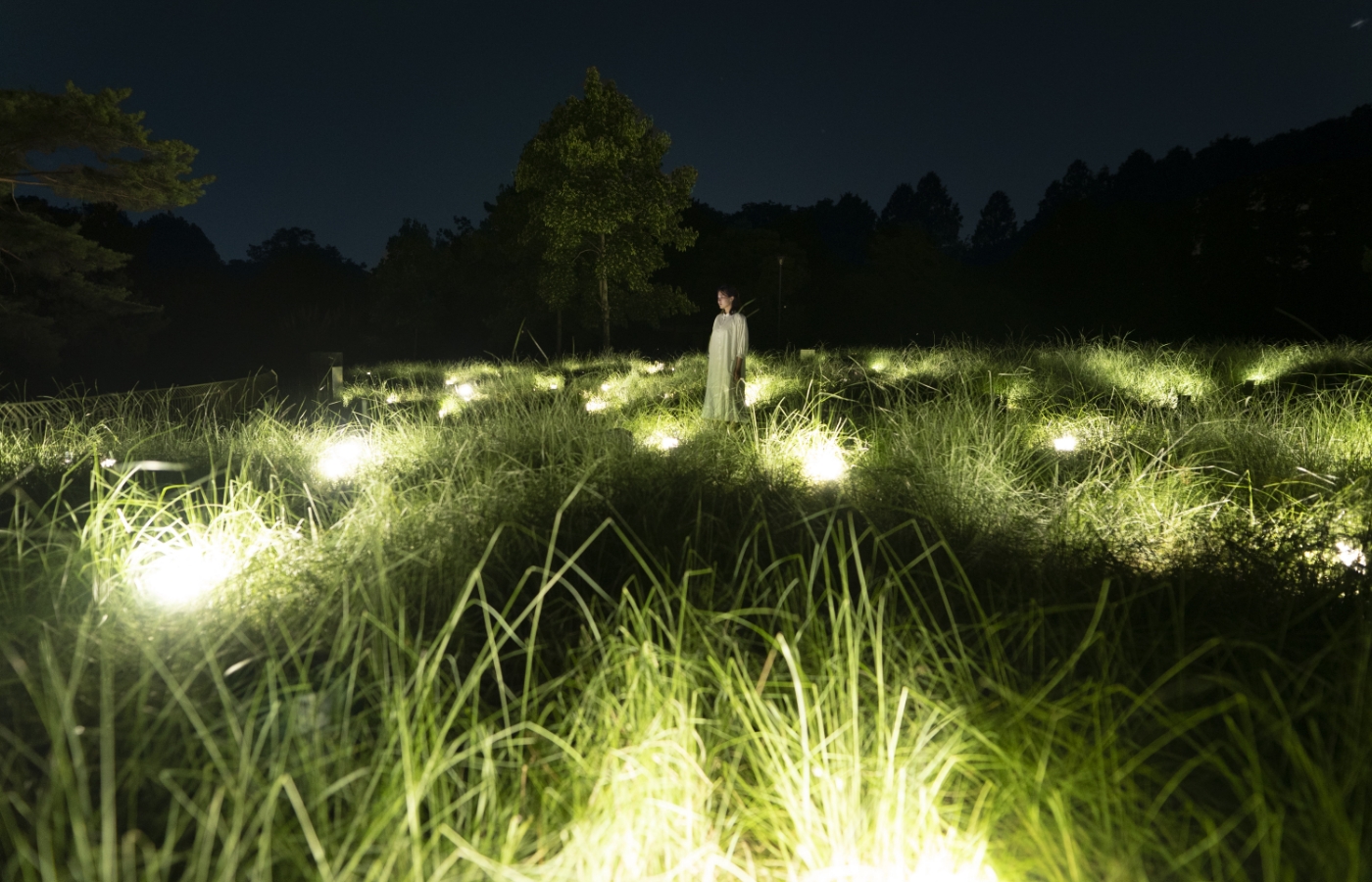 【アート】夜の長居植物園を光のアート空間に変える「チームラボ ボタニカルガーデン 大阪」が2022年7月29日よりオープン画像