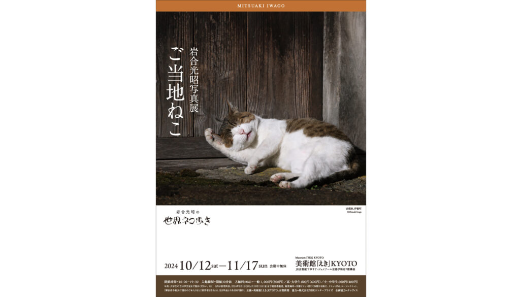 岩合光昭写真展 ご当地ねこ