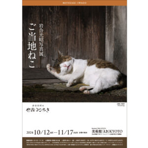 全国のご当地ねこたちが大集合する展覧会「岩合光昭写真展 ご当地ねこ」が美術館「えき」KYOTOにて2024年10月12日から開催